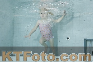 Photo 4198826