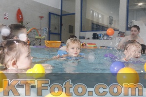 Photo 4198837