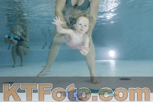 Photo 4198882