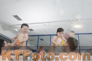 Photo 4198889