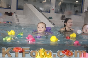 Photo 4198950