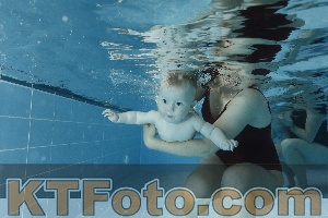 Foto 4151444