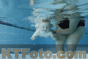 Foto 4151447