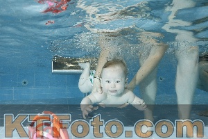 Foto 4151562