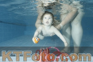Photo 4151857