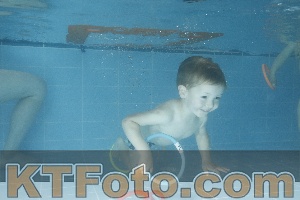 Photo 4153279