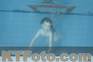 Foto 4153304