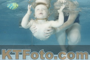 Foto 4154240