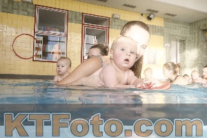 Photo 4205710