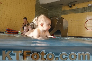 Photo 4205726