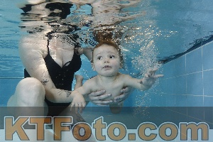Photo 4205760