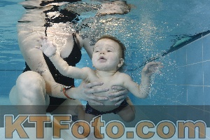 Photo 4205761