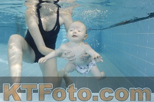 Photo 4205763