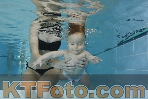 Photo 4205776
