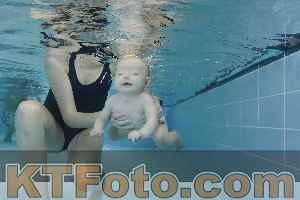 Photo 4205780