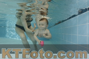 Photo 4205789