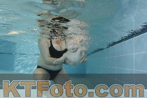 Photo 4205791