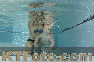 Photo 4205794