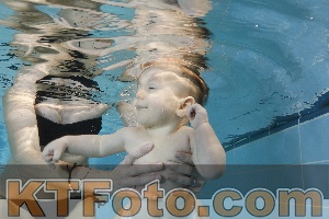 Photo 4205798