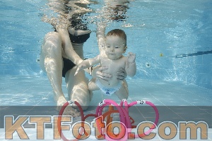 Photo 4205820
