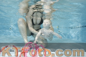 Photo 4205823