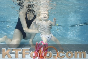 Photo 4205826