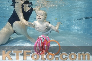 Photo 4205827