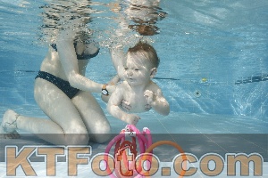 Photo 4205830