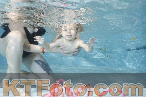 Photo 4205838
