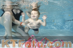 Photo 4205839