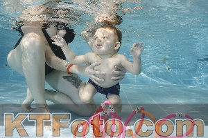 Photo 4205840