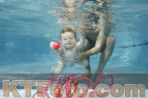 Photo 4205841