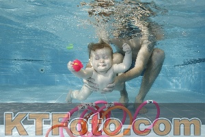 Photo 4205842