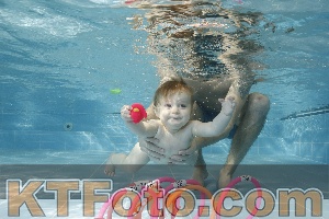 Photo 4205843