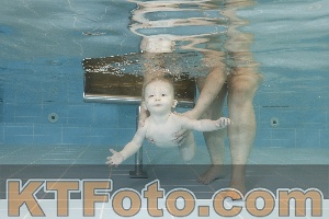 Photo 4205852