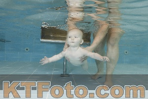 Photo 4205853