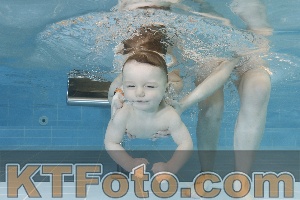 Photo 4205854