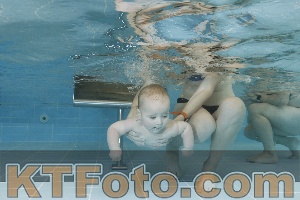 Photo 4205869