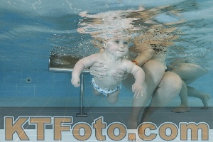 Photo 4205870