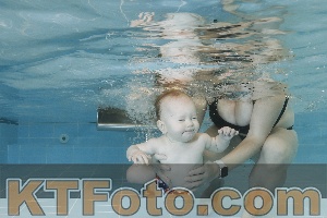 Photo 4205872