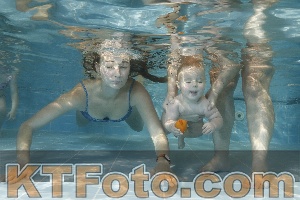 Photo 4205918