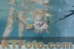 Photo 4205974