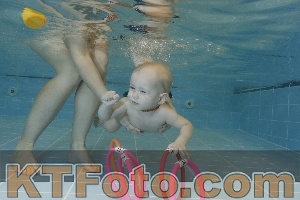Photo 4206019