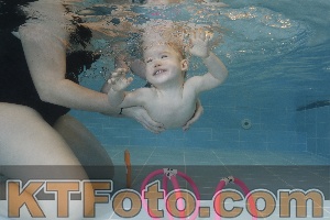 Photo 4206021
