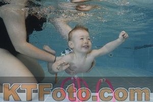 Photo 4206022