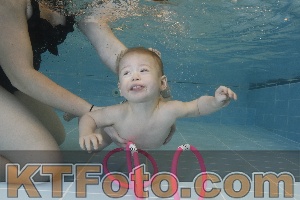 Photo 4206023
