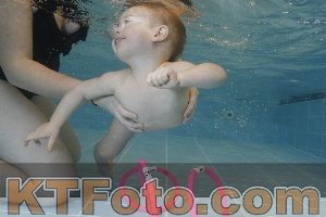 Photo 4206024
