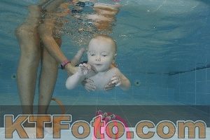 Photo 4206025