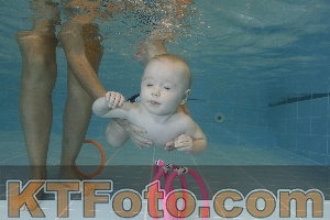 Photo 4206026