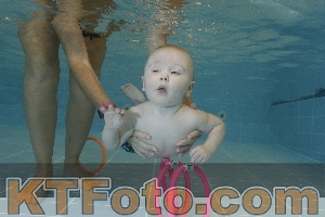 Photo 4206027